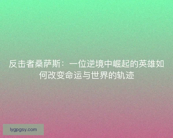 反击者桑萨斯：一位逆境中崛起的英雄如何改变命运与世界的轨迹