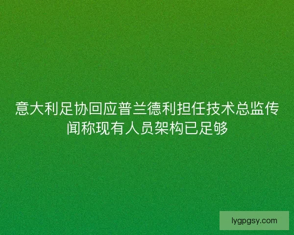 意大利足协回应普兰德利担任技术总监传闻称现有人员架构已足够