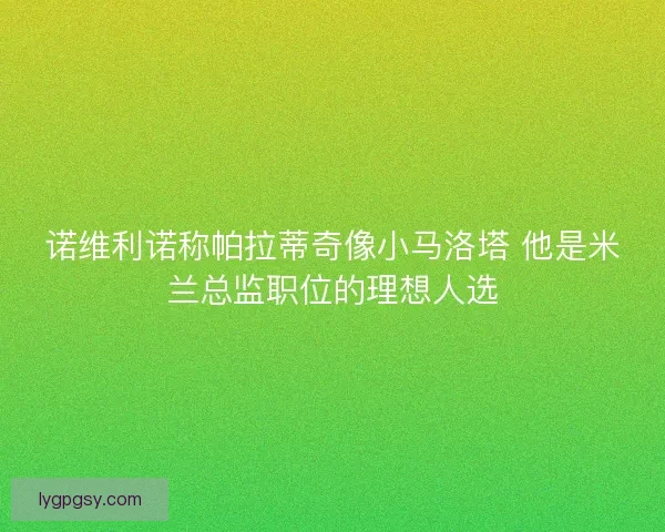 诺维利诺称帕拉蒂奇像小马洛塔 他是米兰总监职位的理想人选 诺维利诺称帕拉蒂奇像小马洛塔 他是米兰总监职位的理想人选